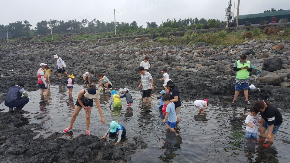 팜팜버스 예래1.jpg