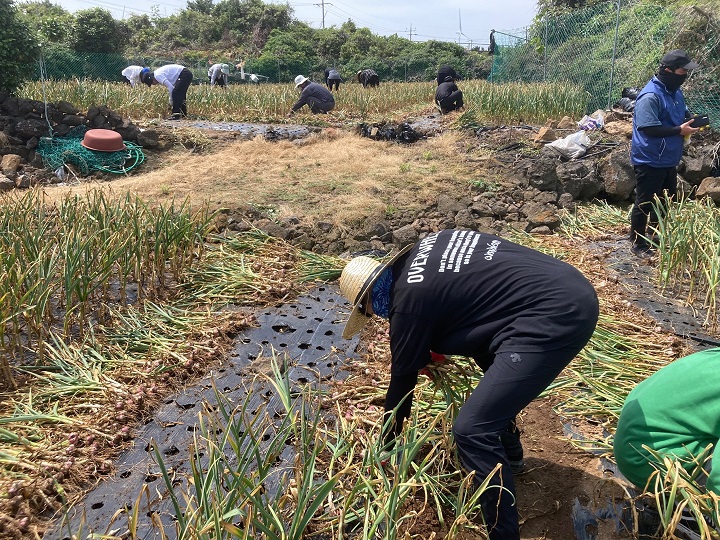 사랑나눔 봉사단 농촌일손돕기2.jpg