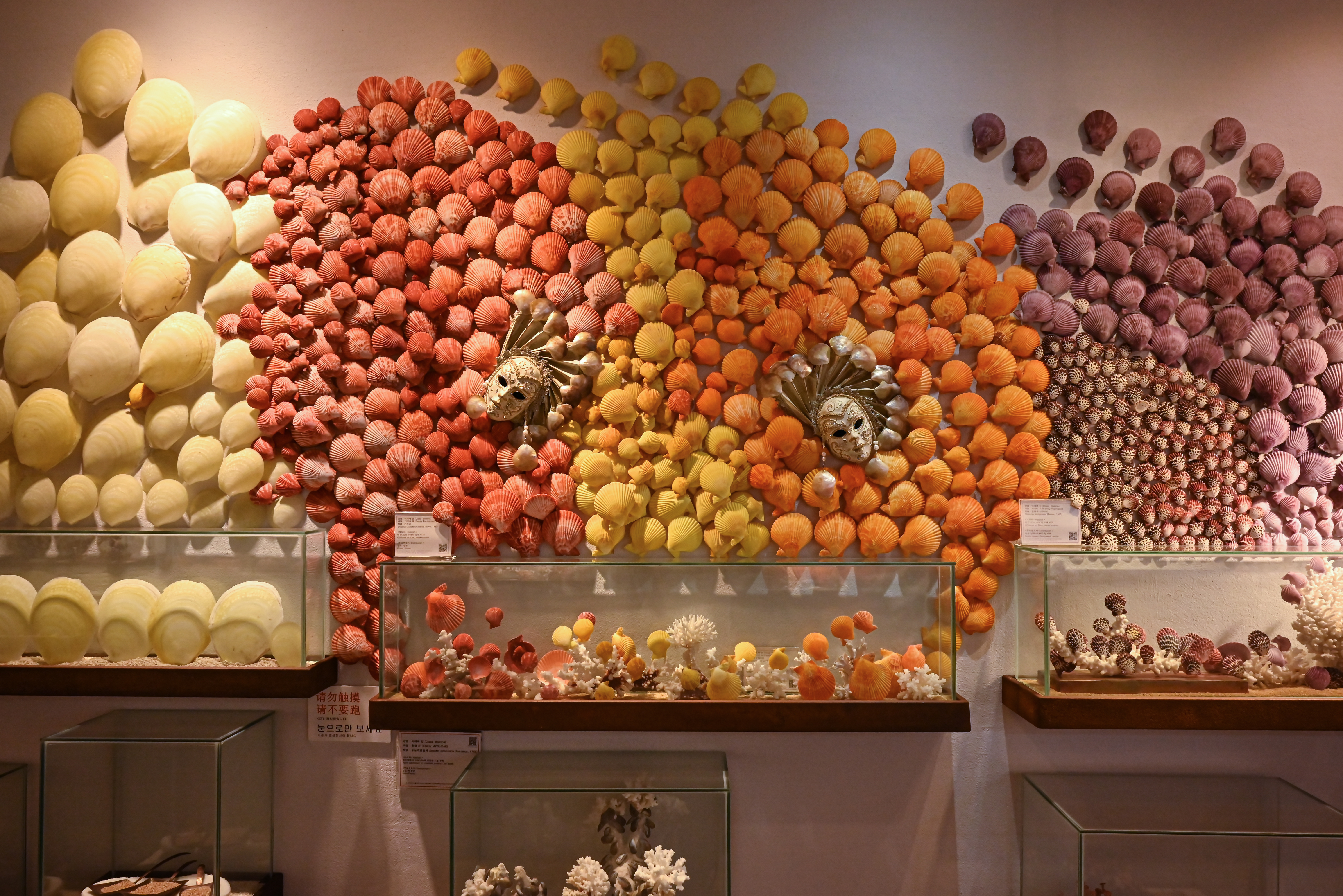 조가비박물관 3