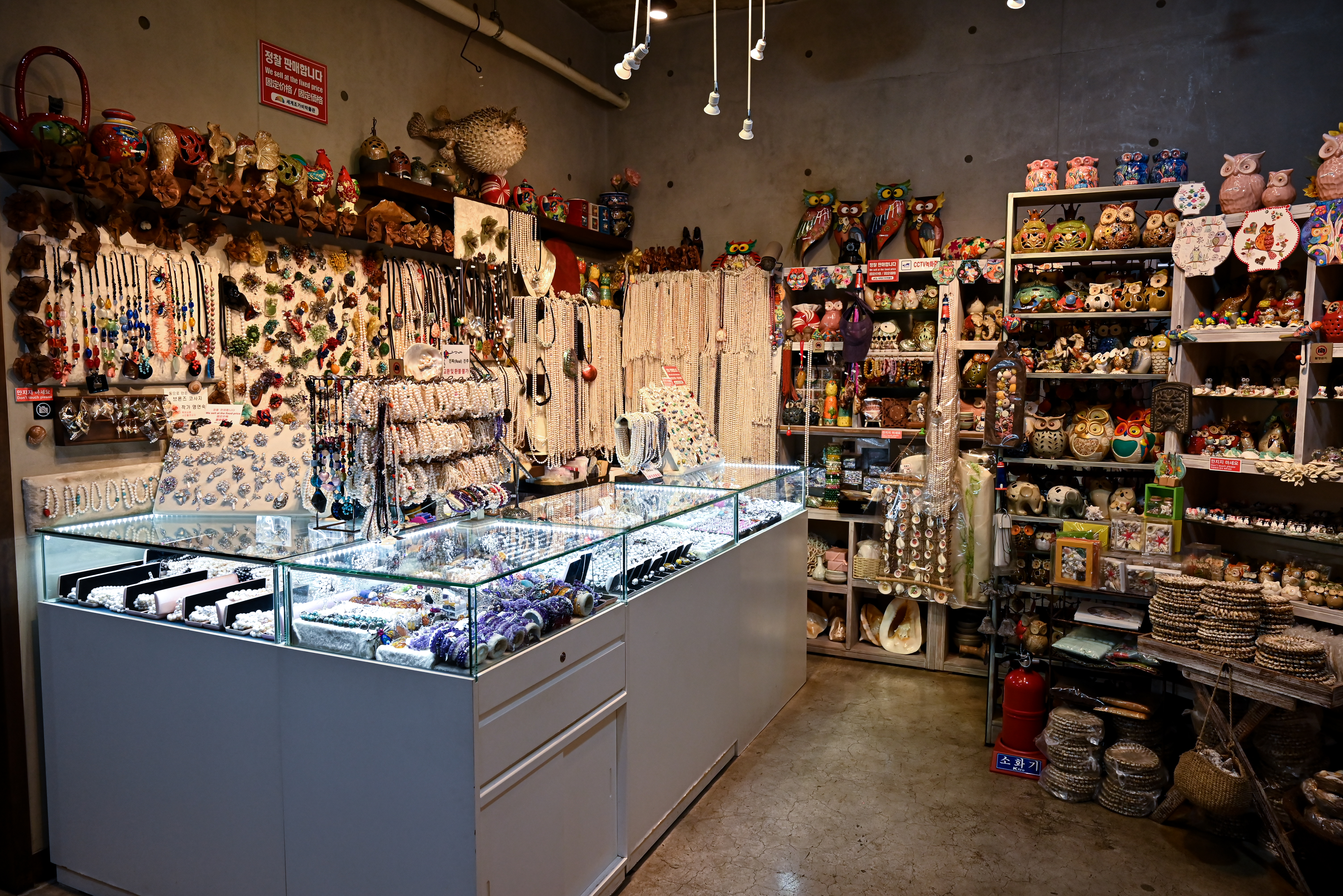 조가비박물관 5