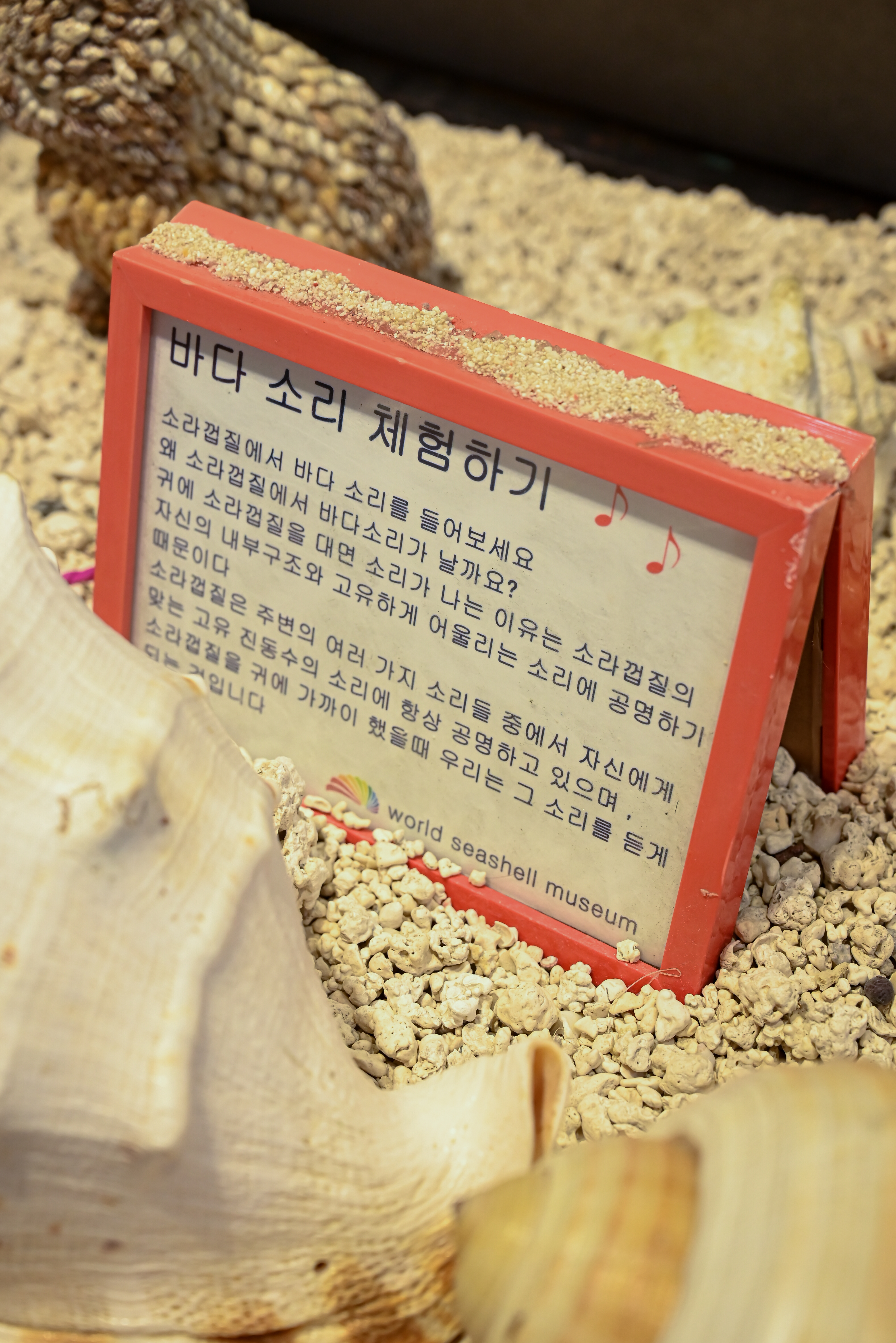 조가비박물관 6