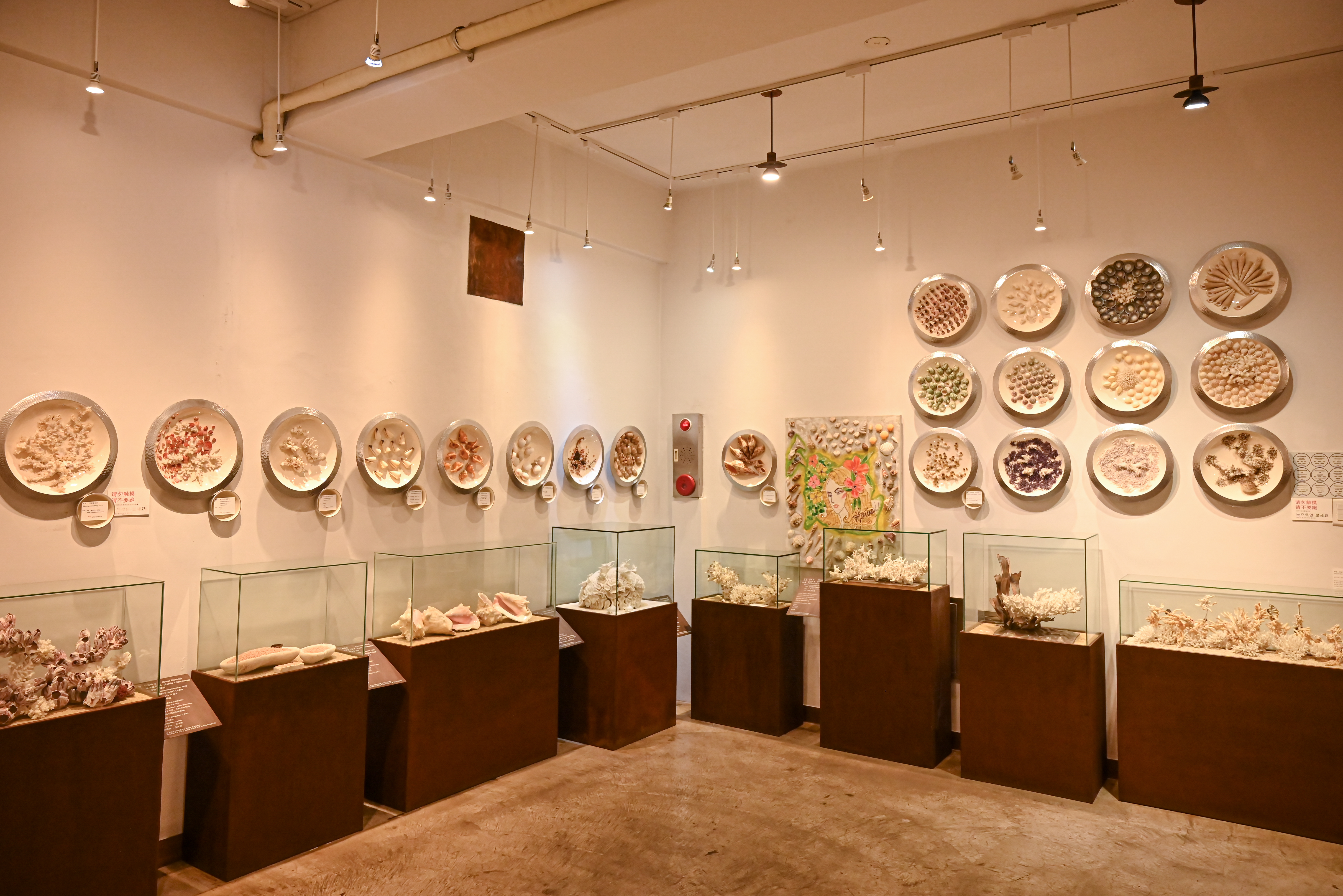 조가비박물관 7