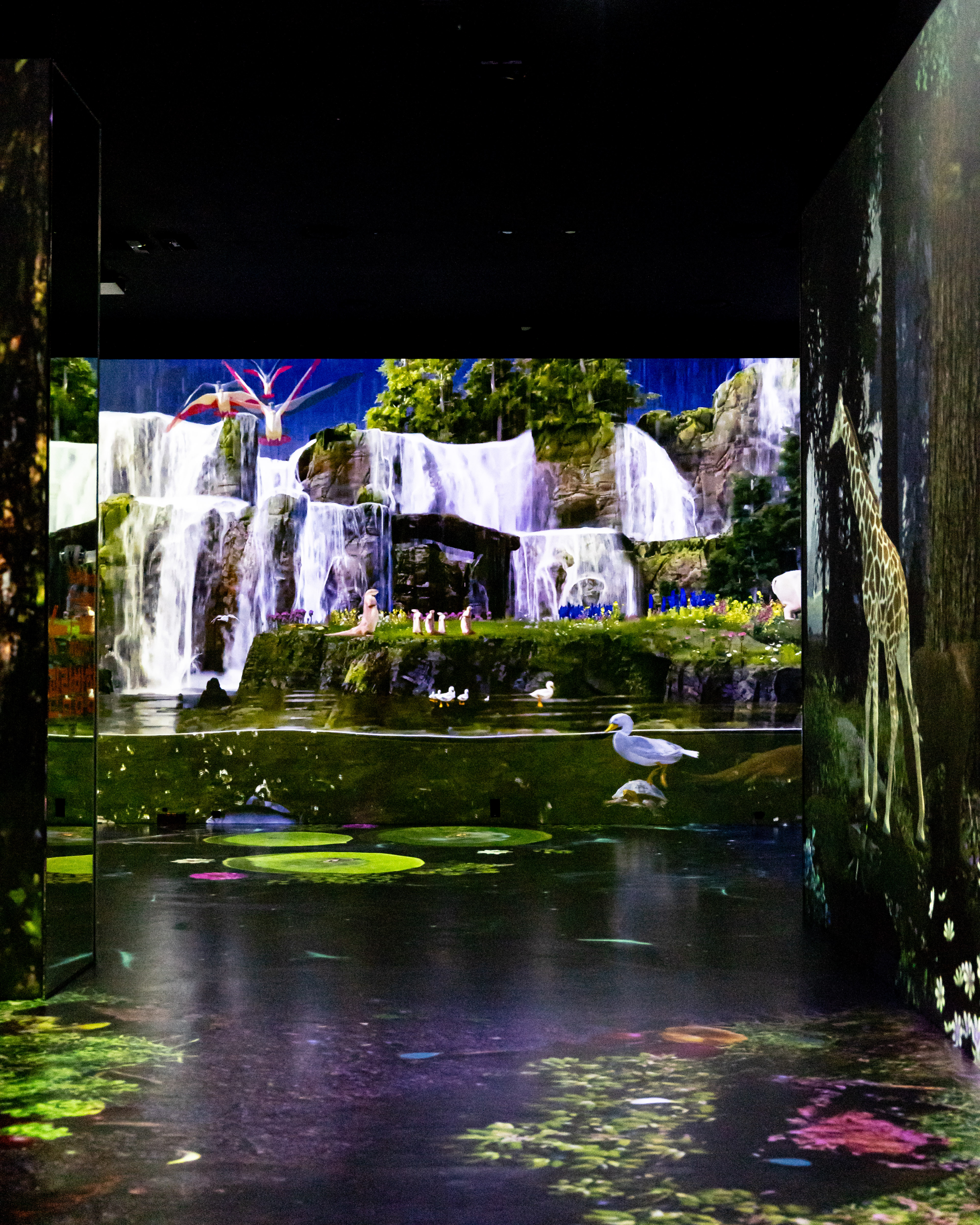 원더아일랜드 1