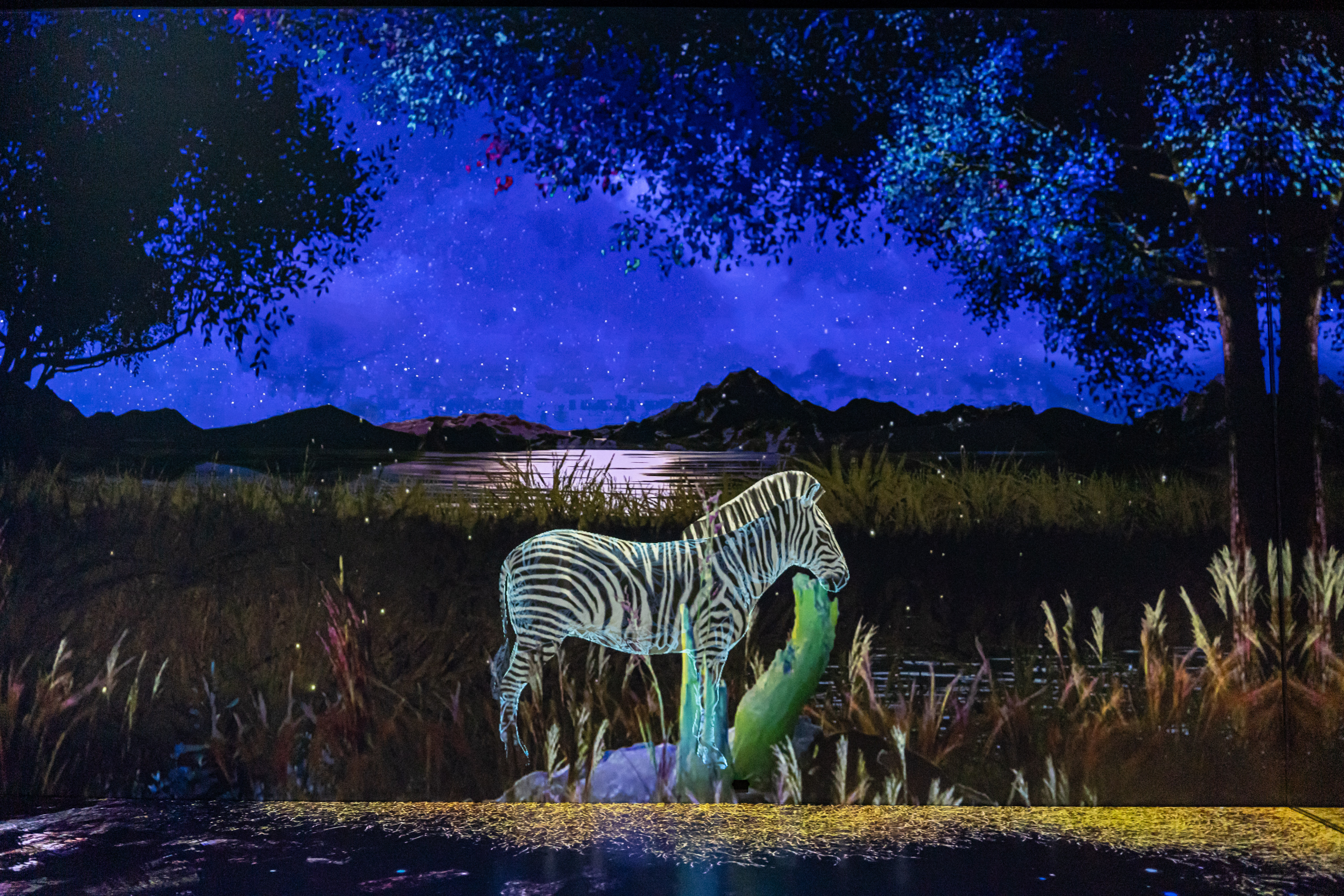 원더아일랜드 3