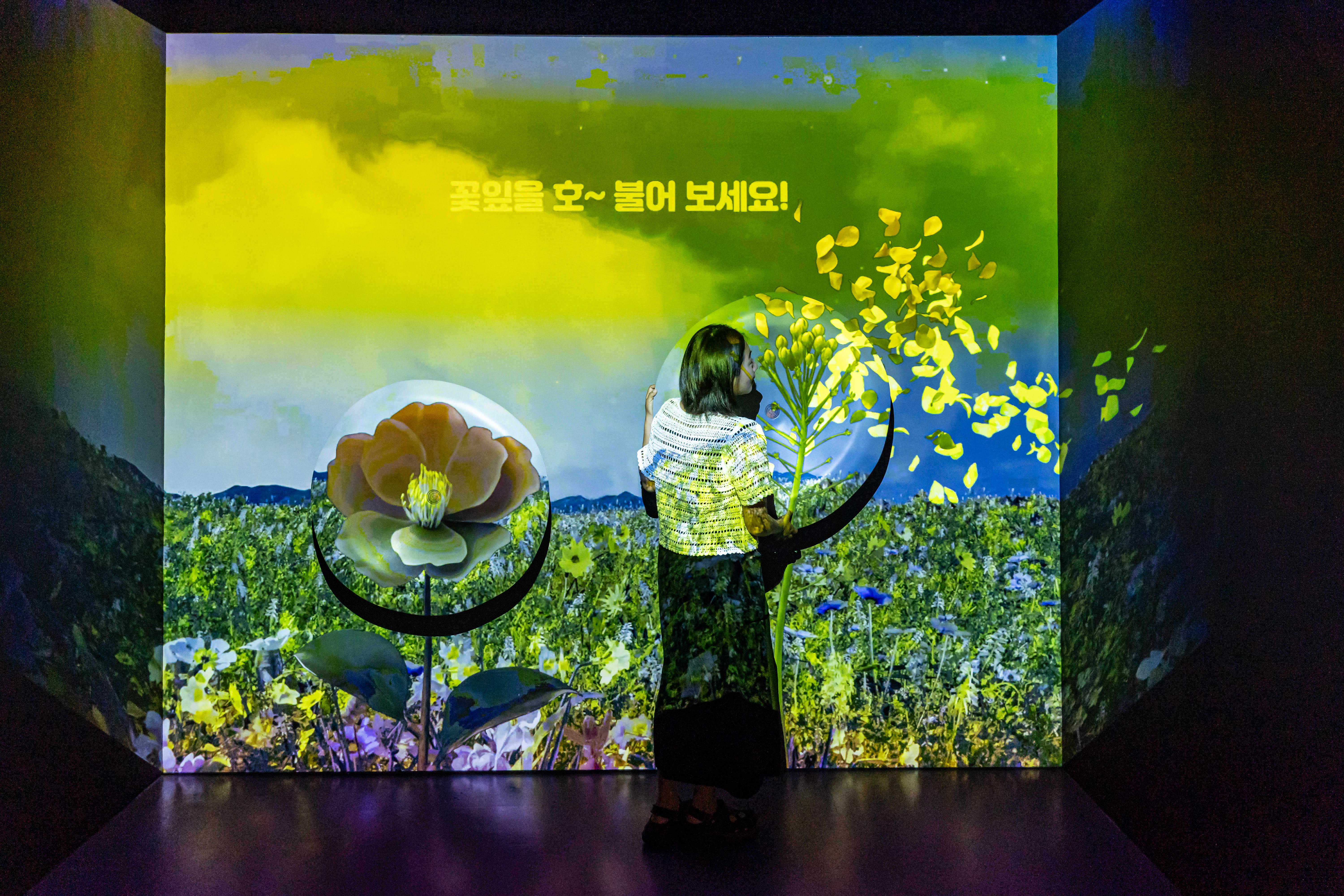 원더아일랜드 5