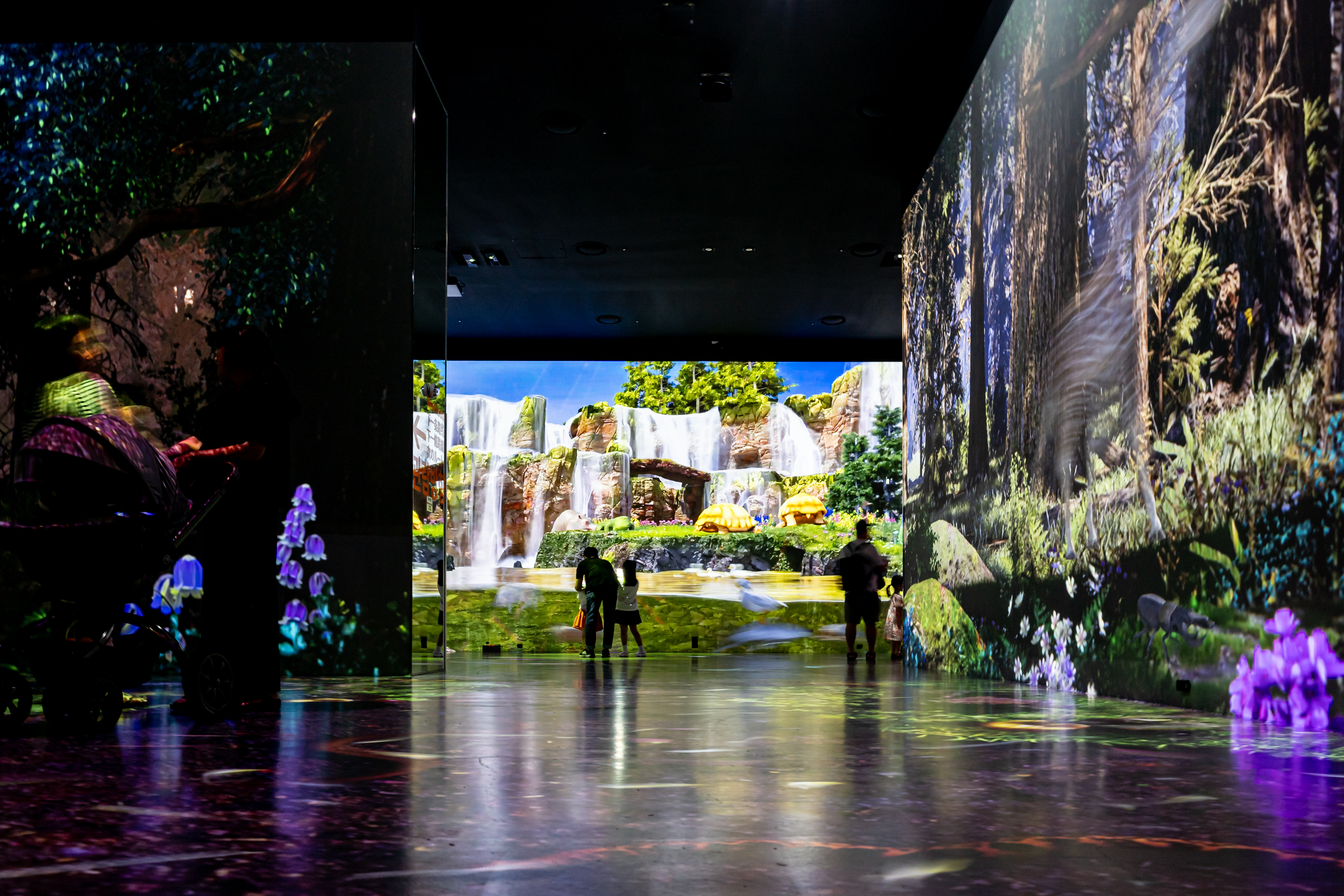 원더아일랜드 11