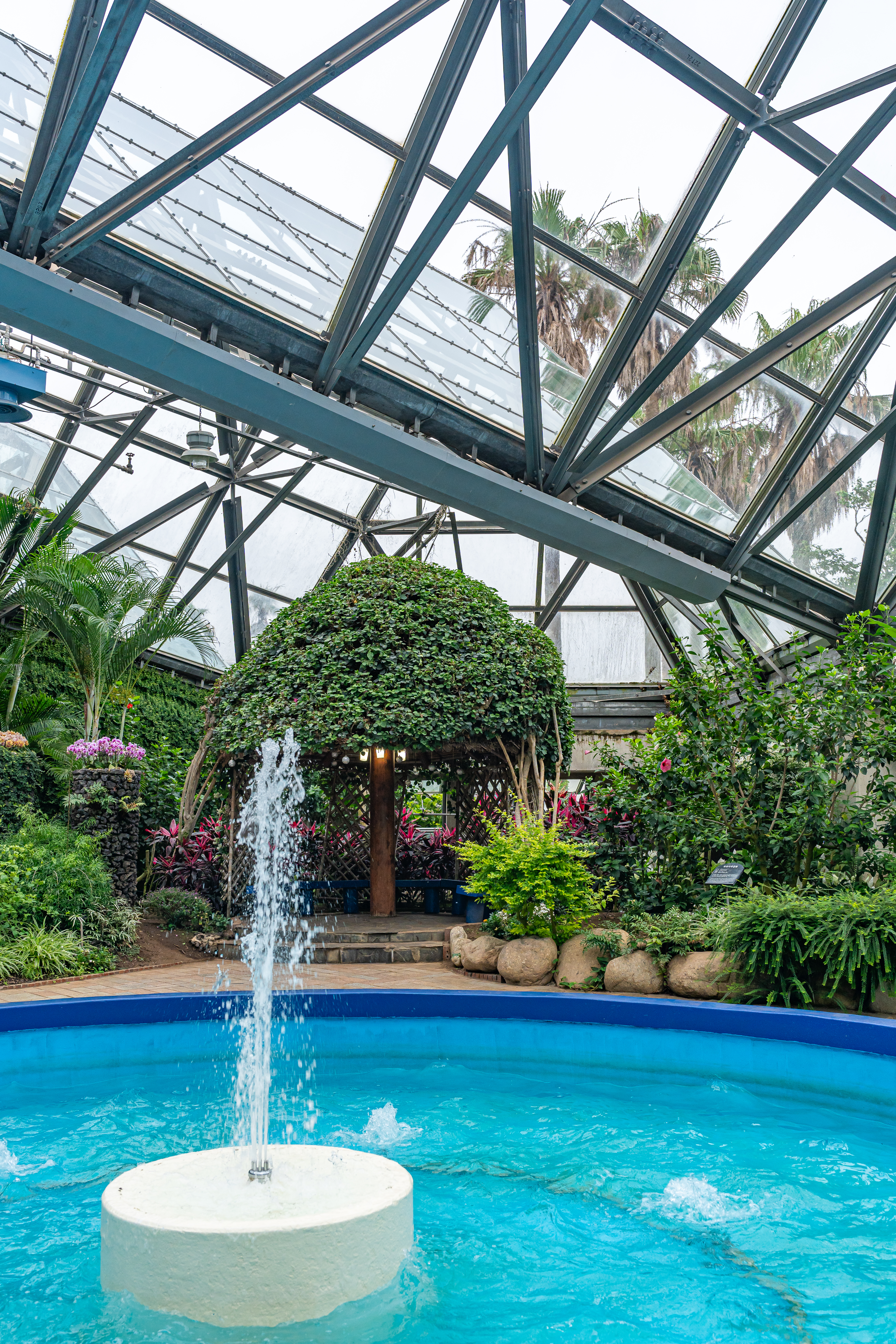 여미지식물원 3