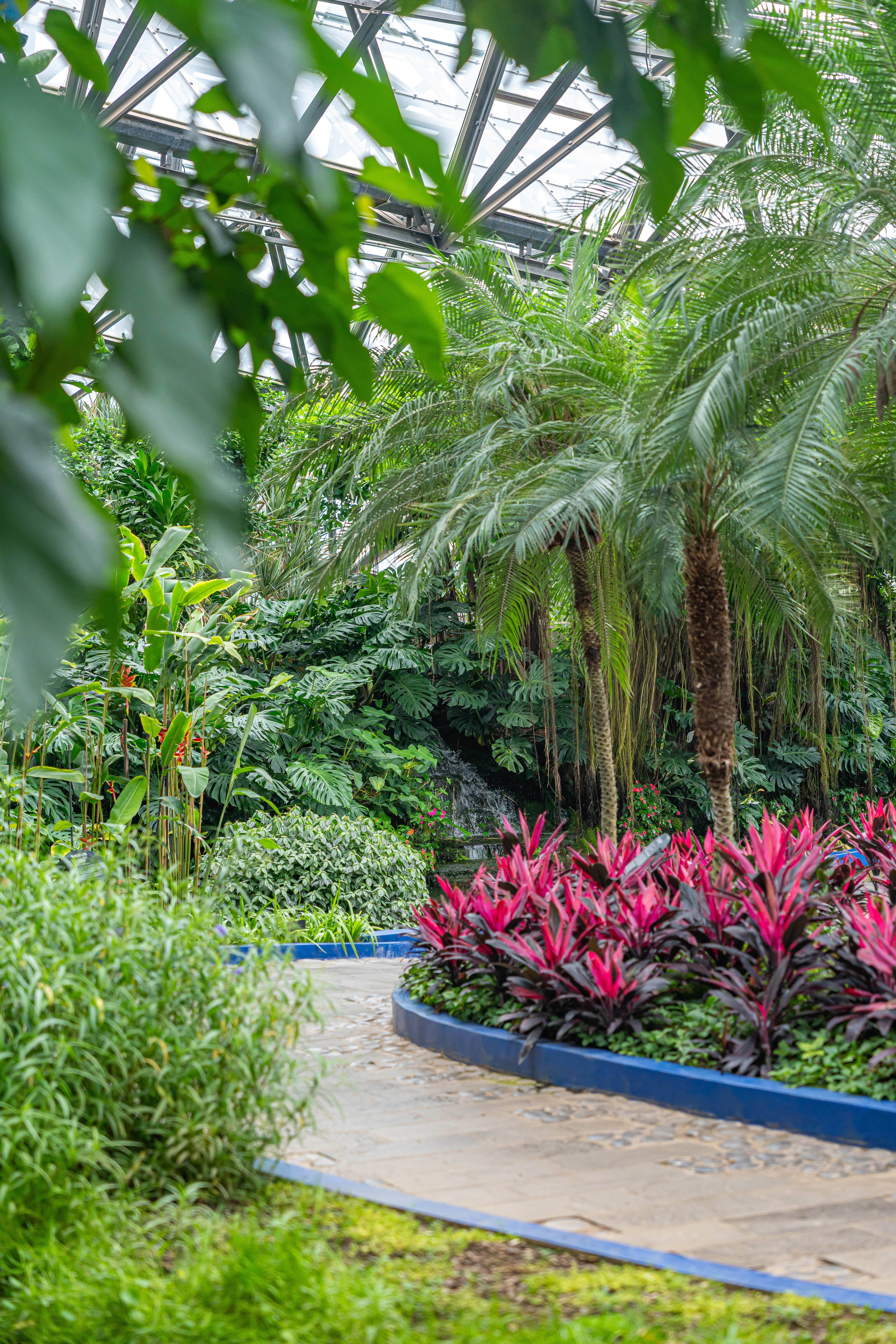 여미지식물원 7