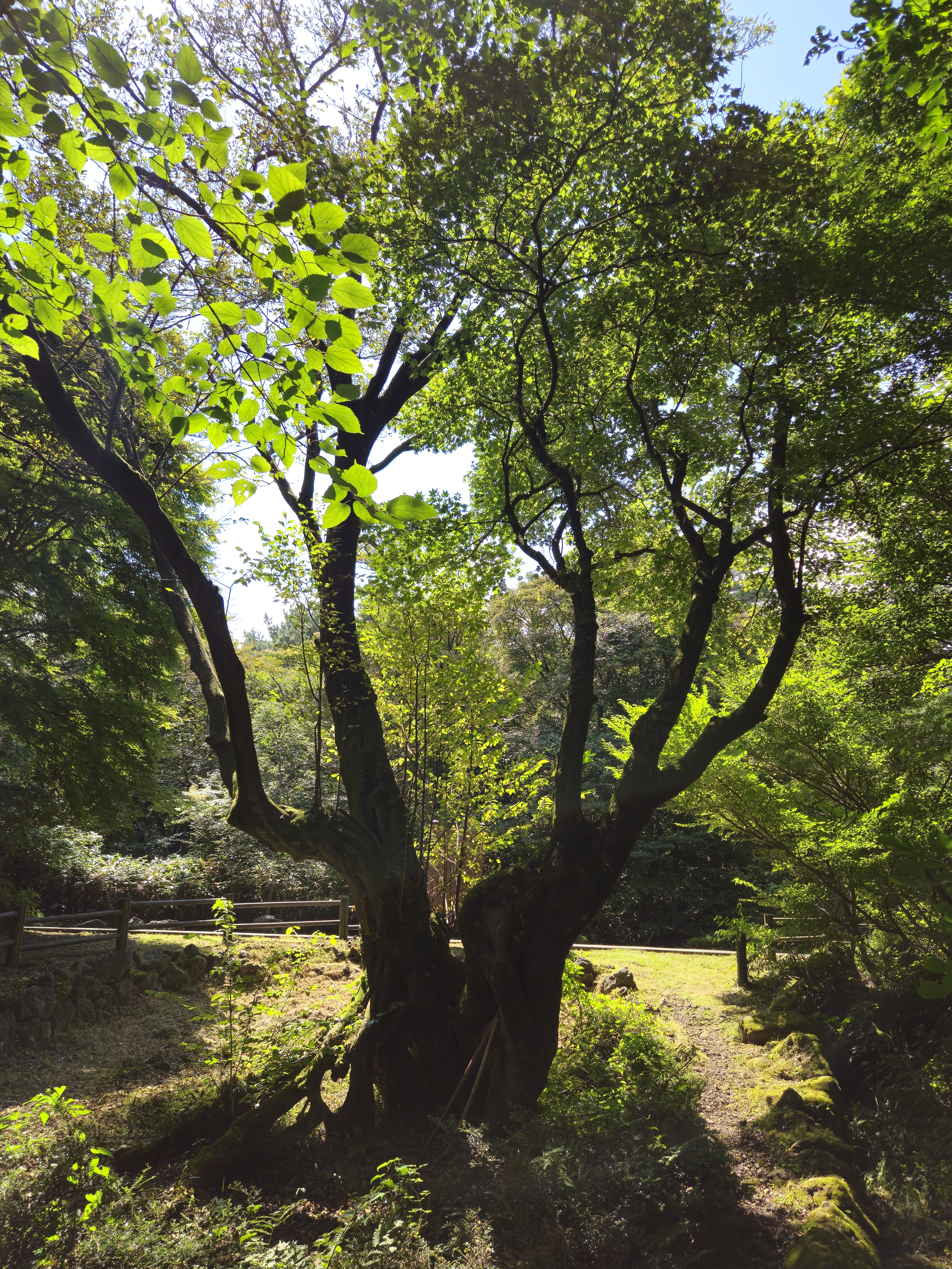 한라생태공원 2