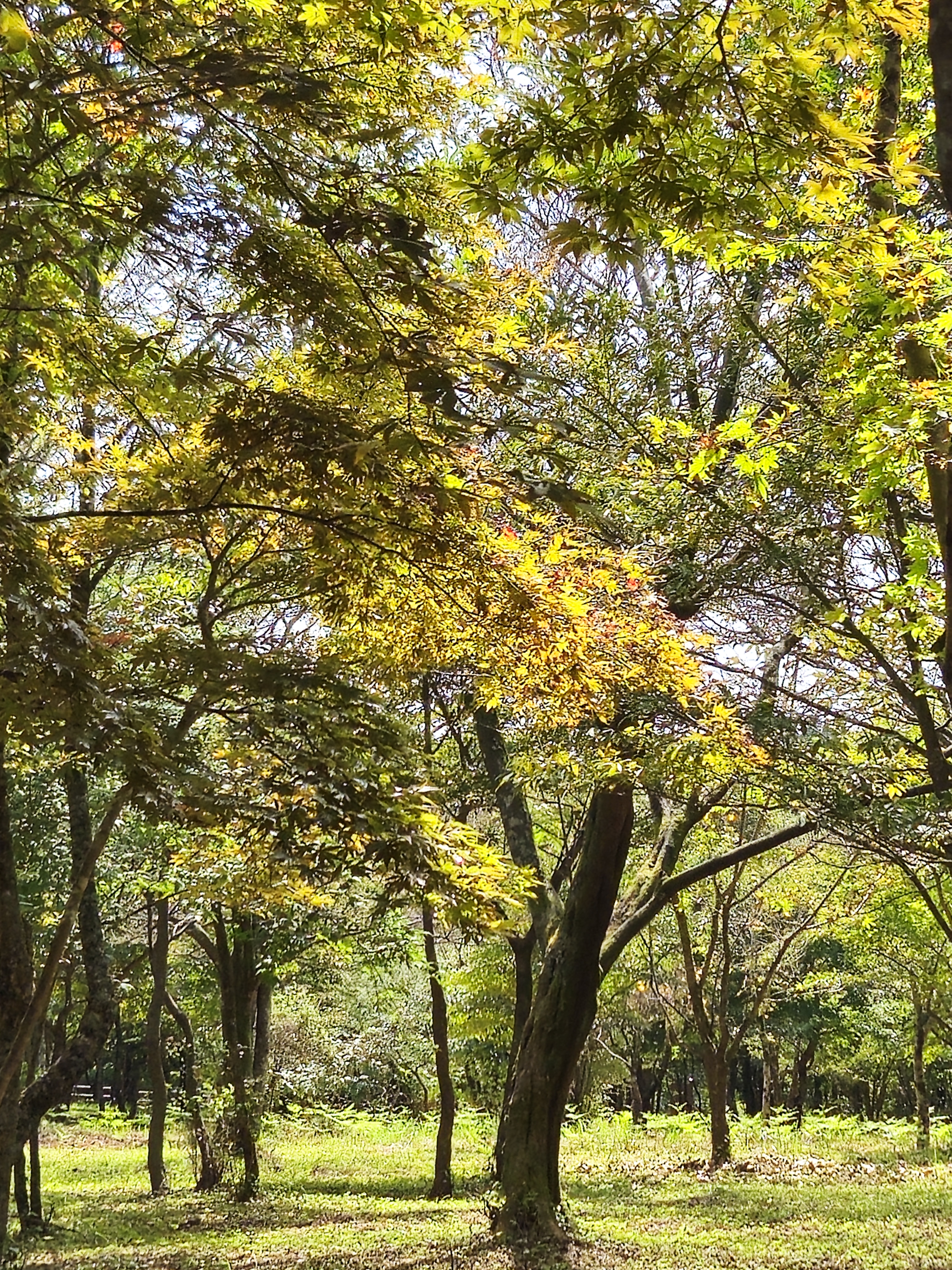 한라생태공원 5