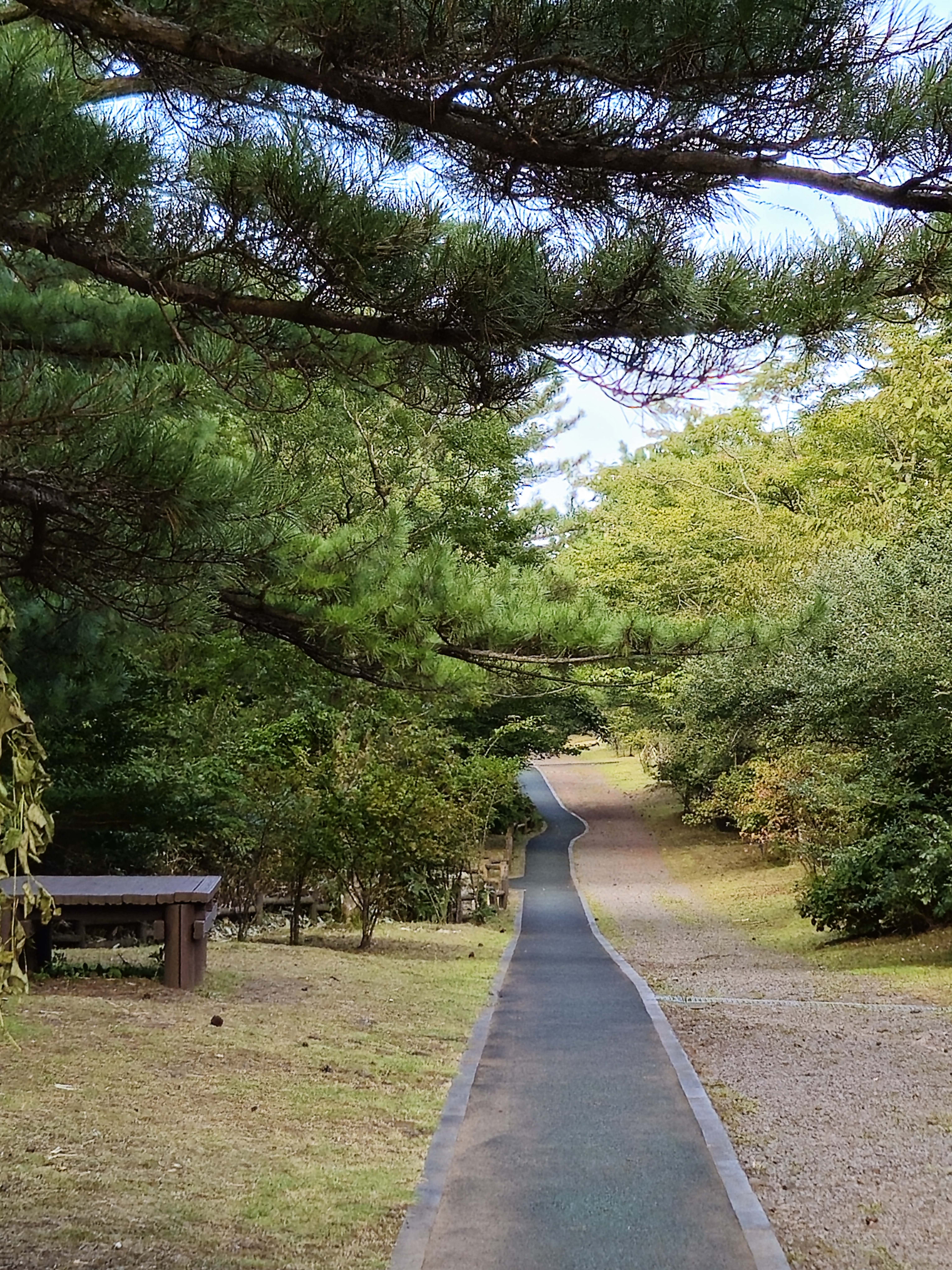 한라생태공원 8