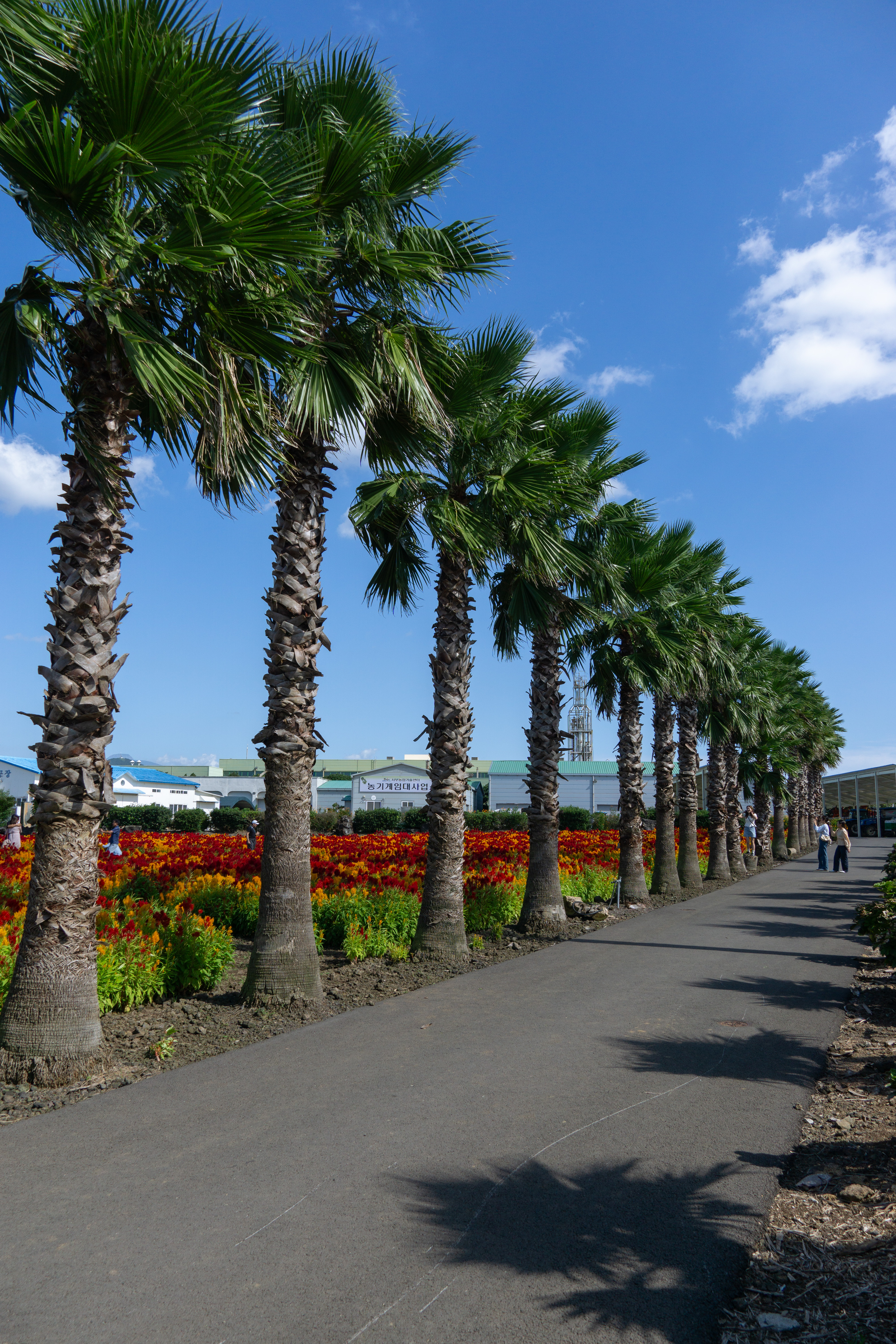 서부농업기술센터 7