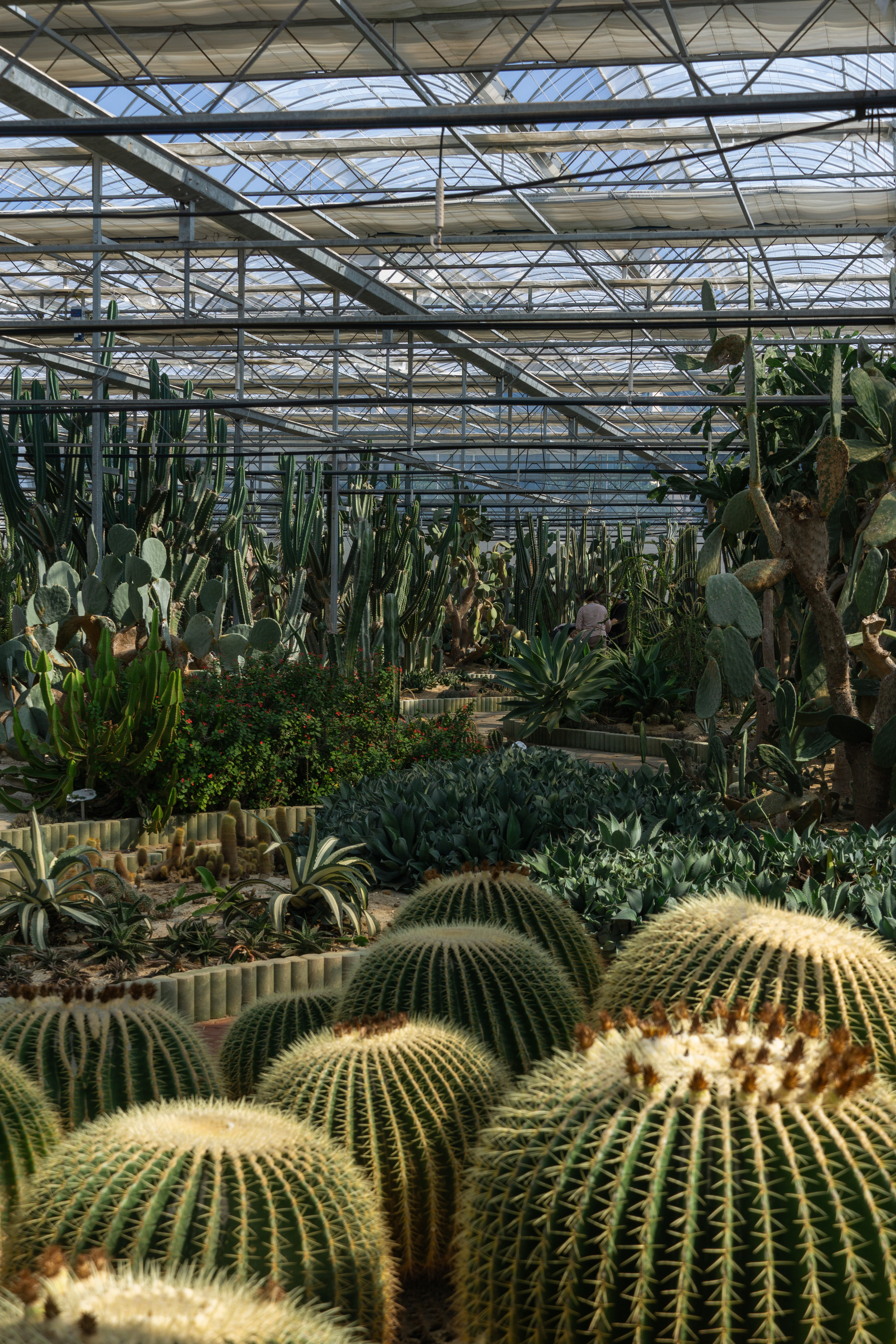 서부농업기술센터 8