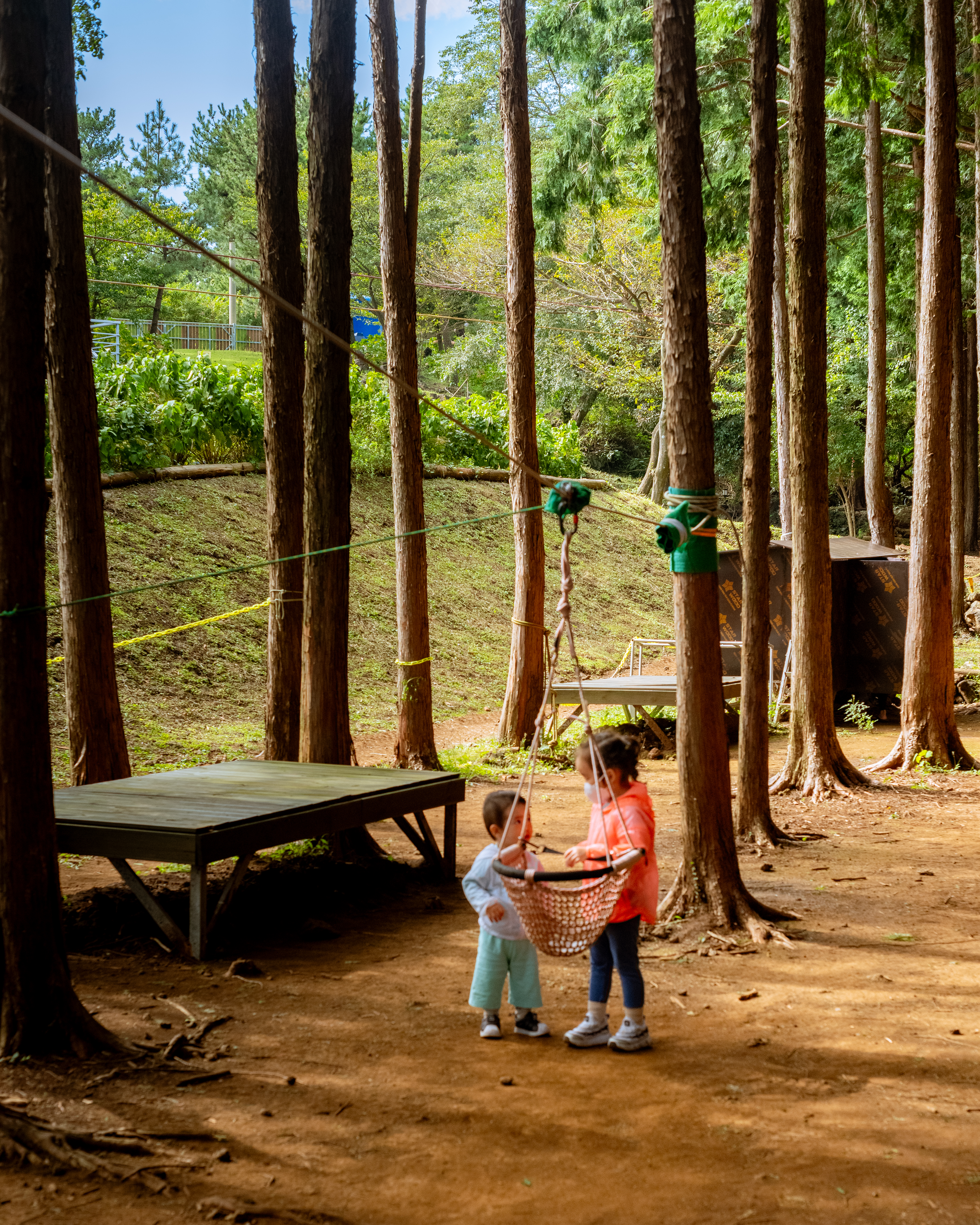 편백포레스트 7