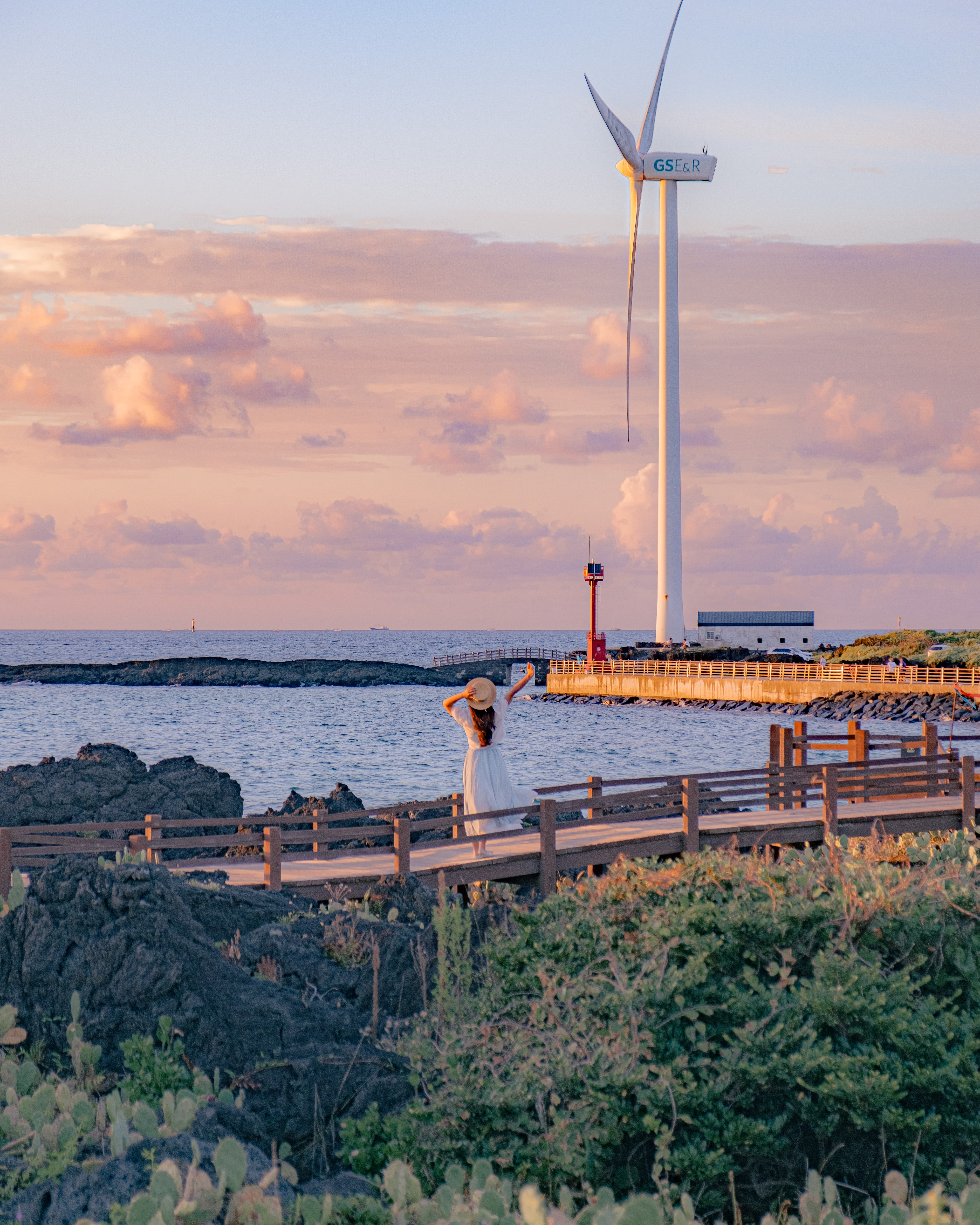 월령리선인장군락 7