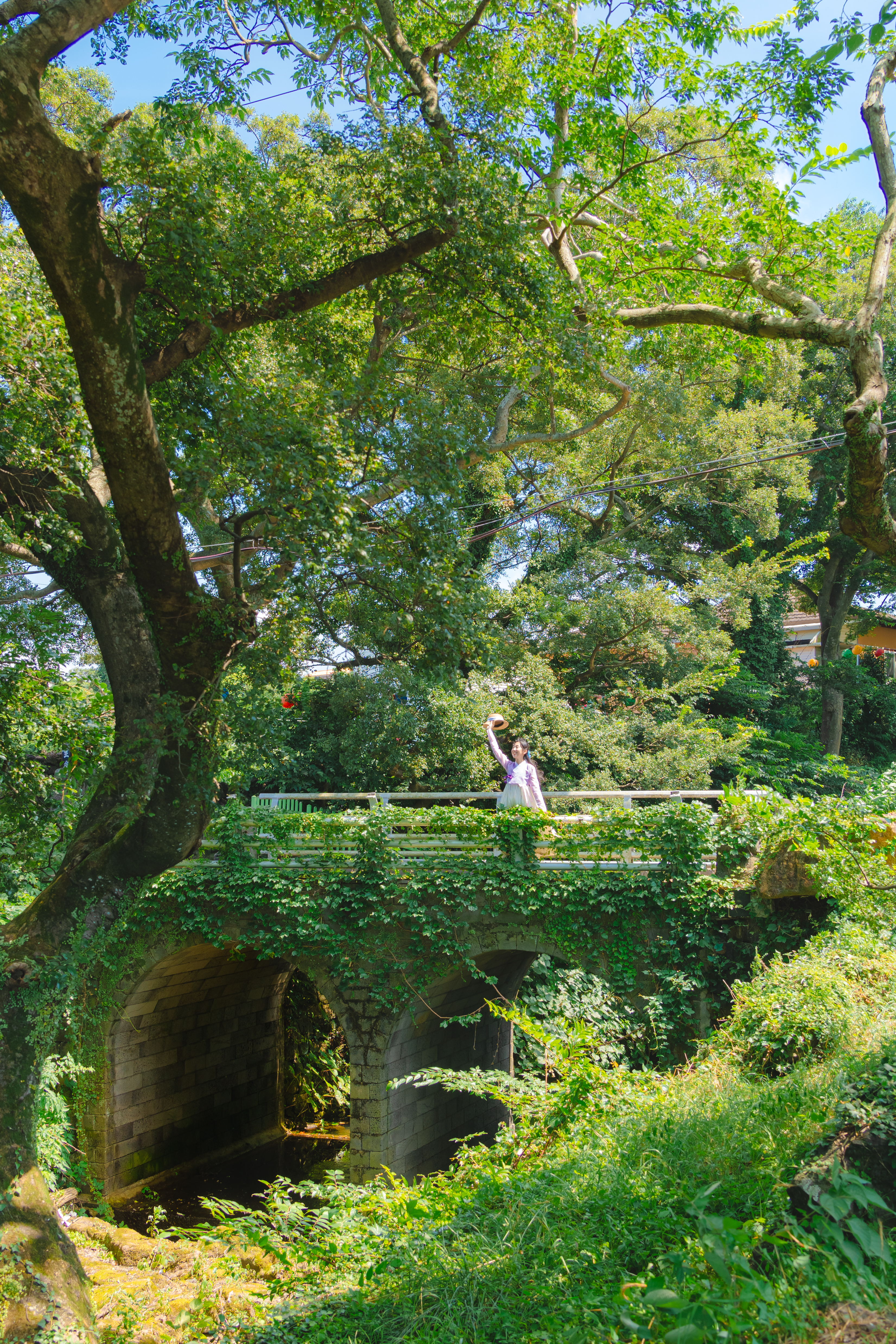 명월팽나무군락 8