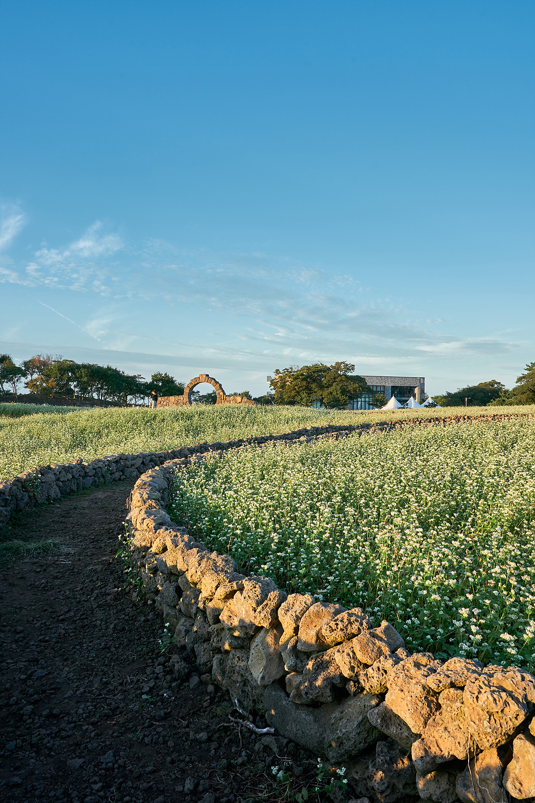 와흘메밀마을 6