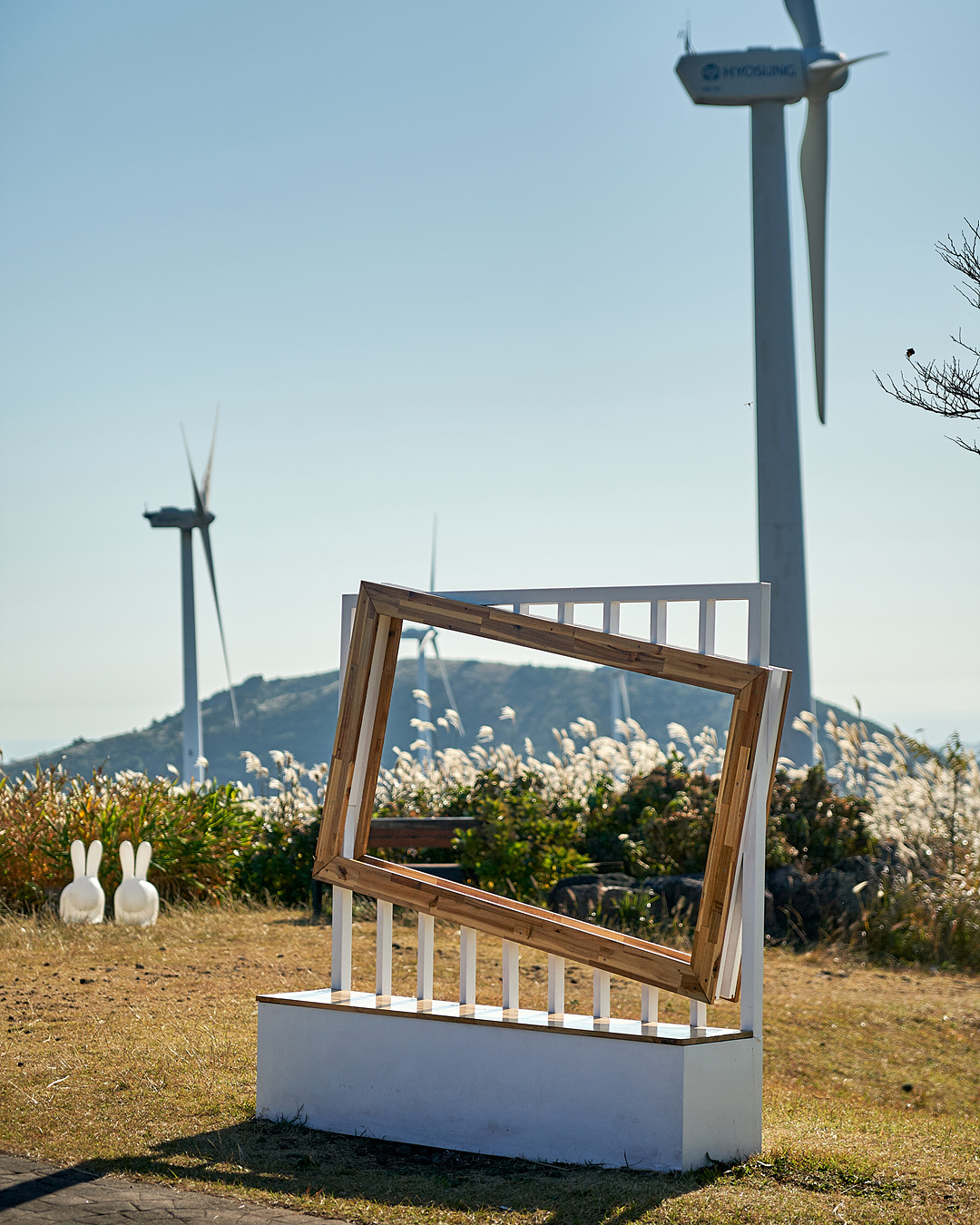 유채꽃프라자 6