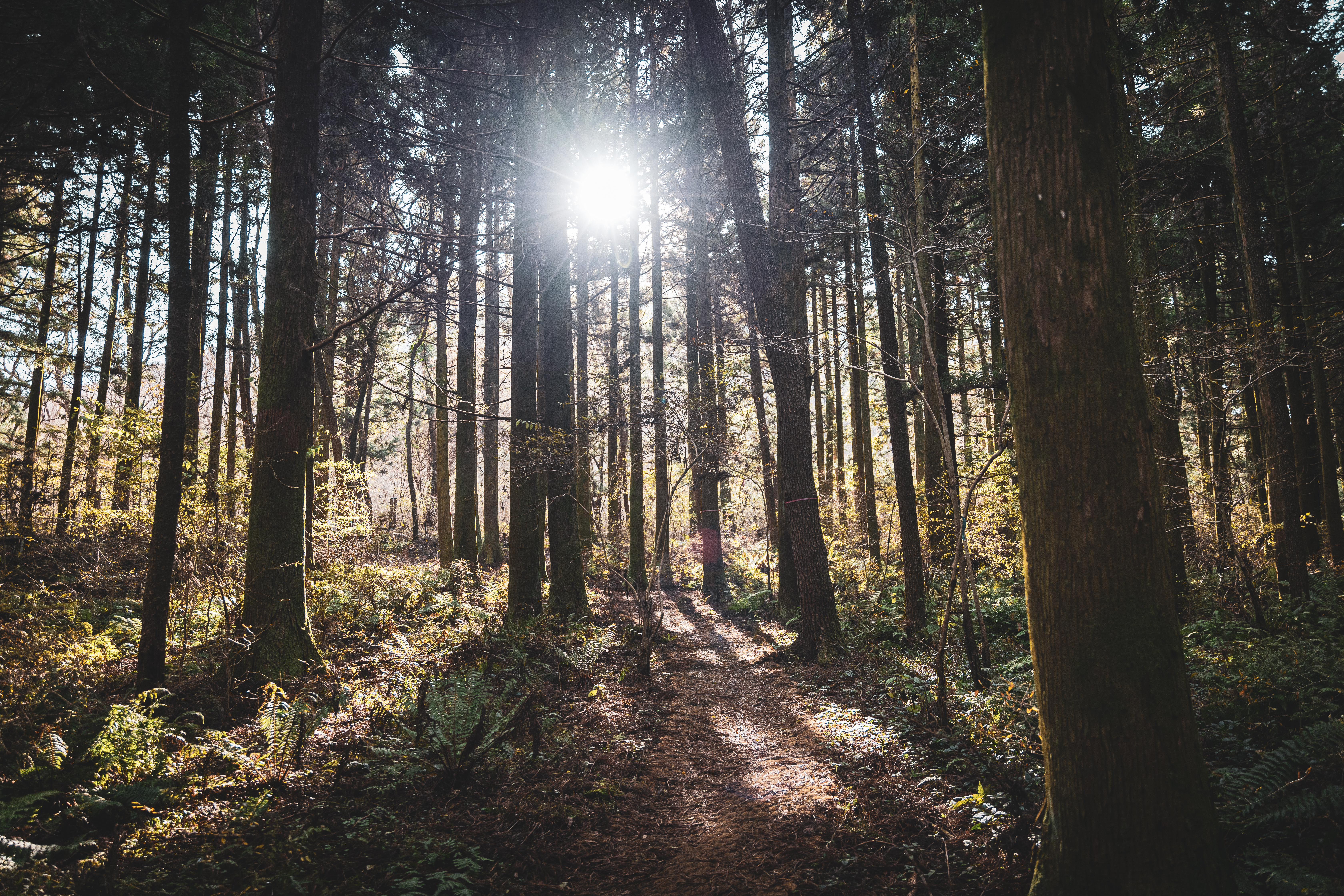 절물자연휴양림 8