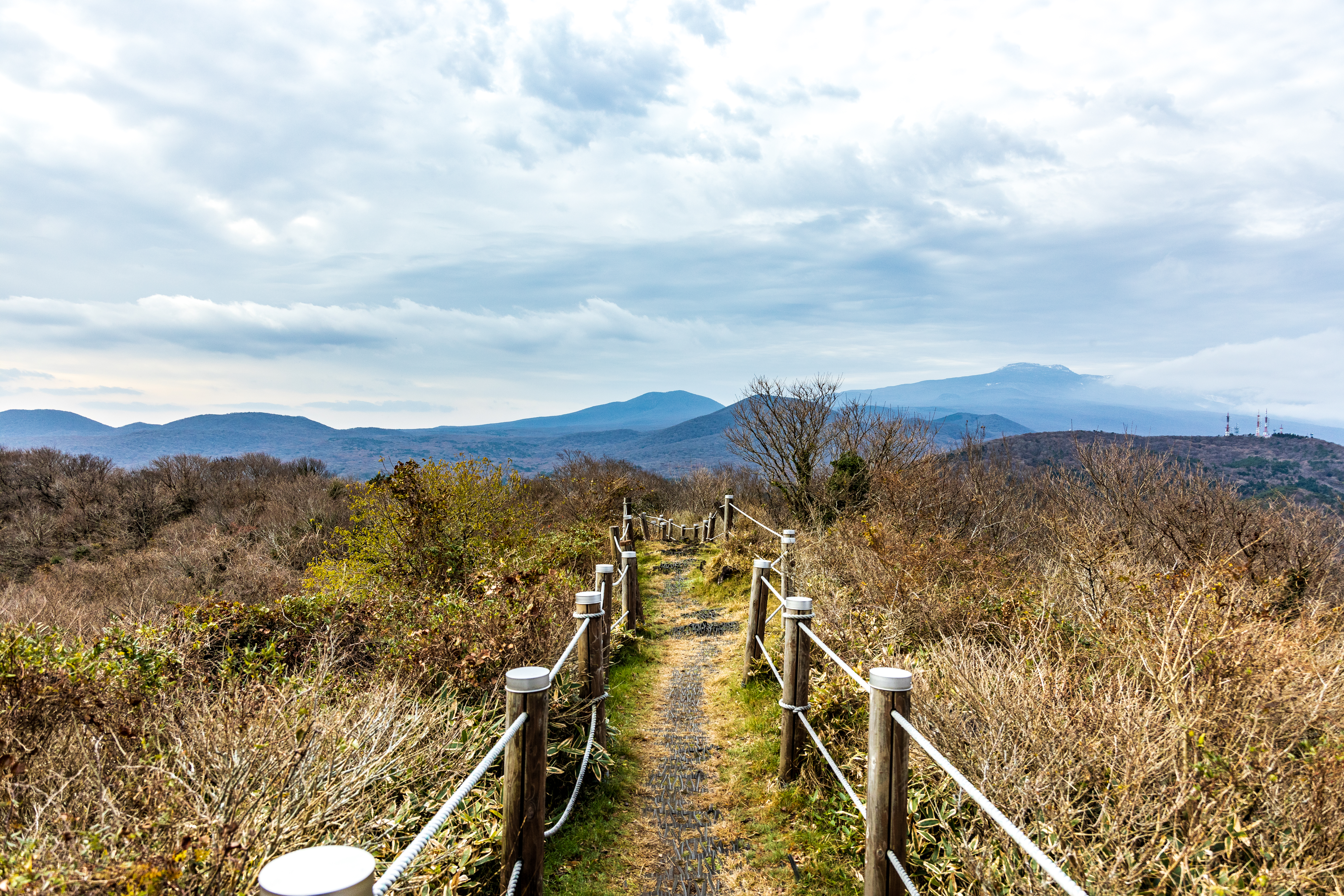 절물자연휴양림 9