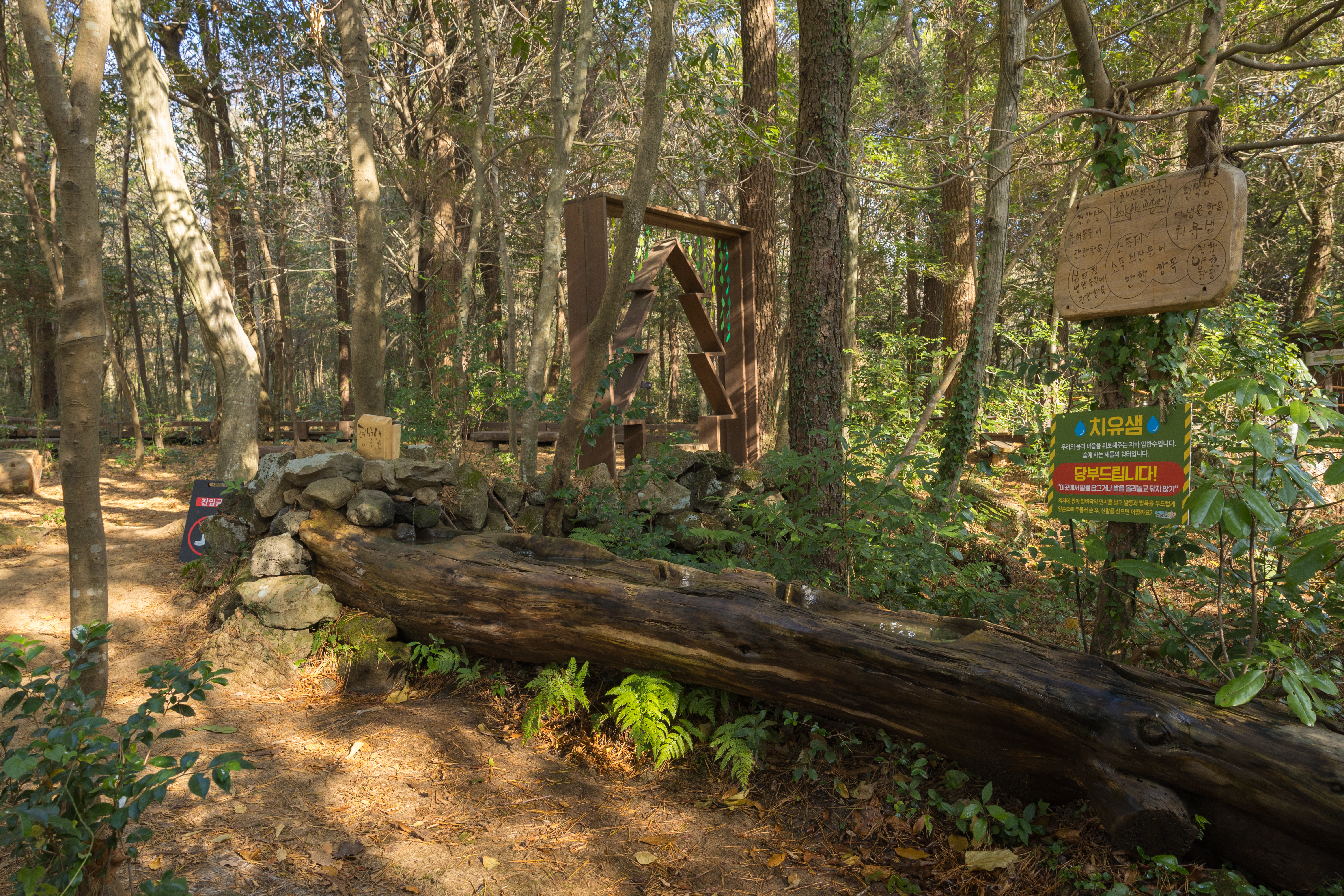 치유의숲 6