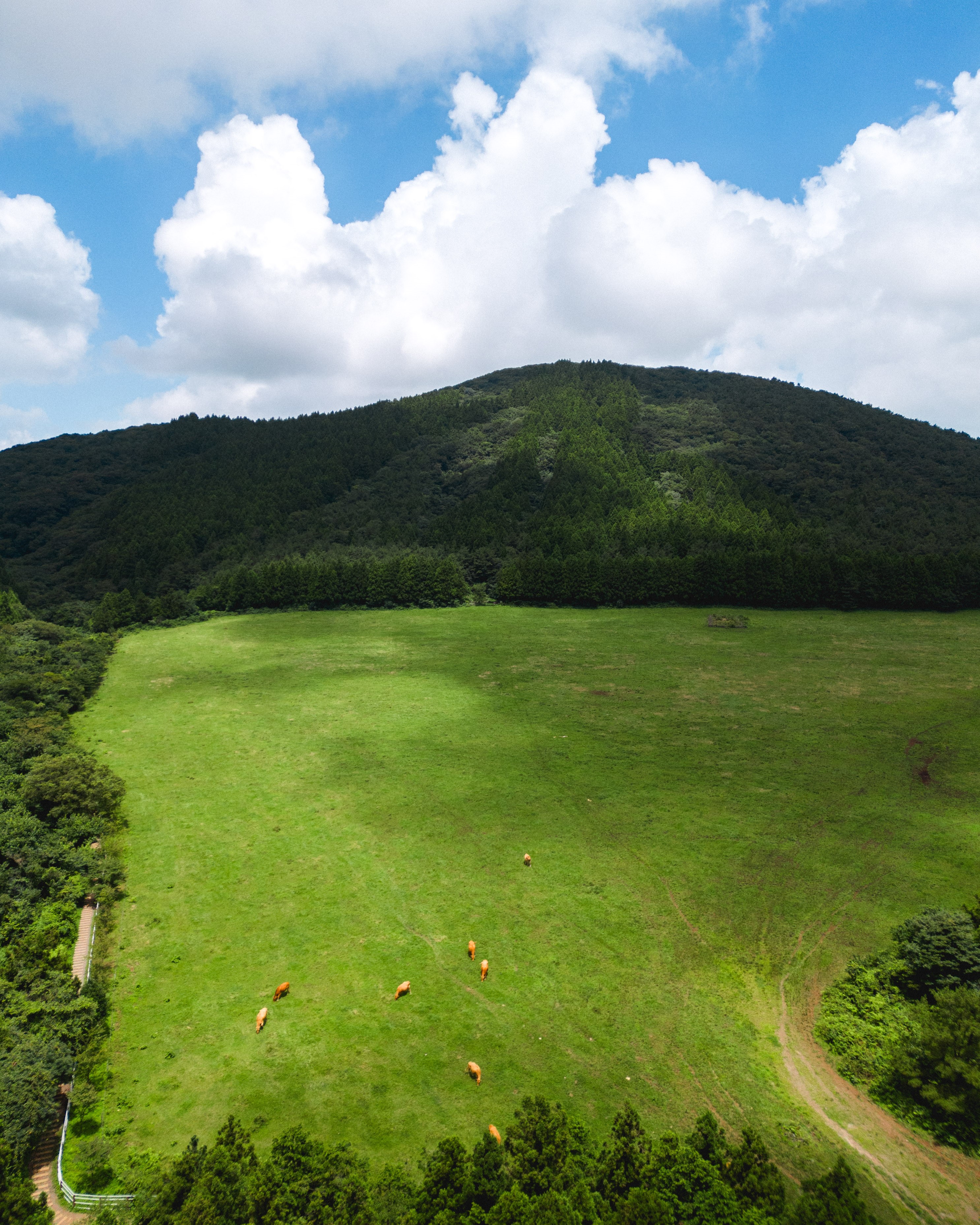 물영아리오름 3