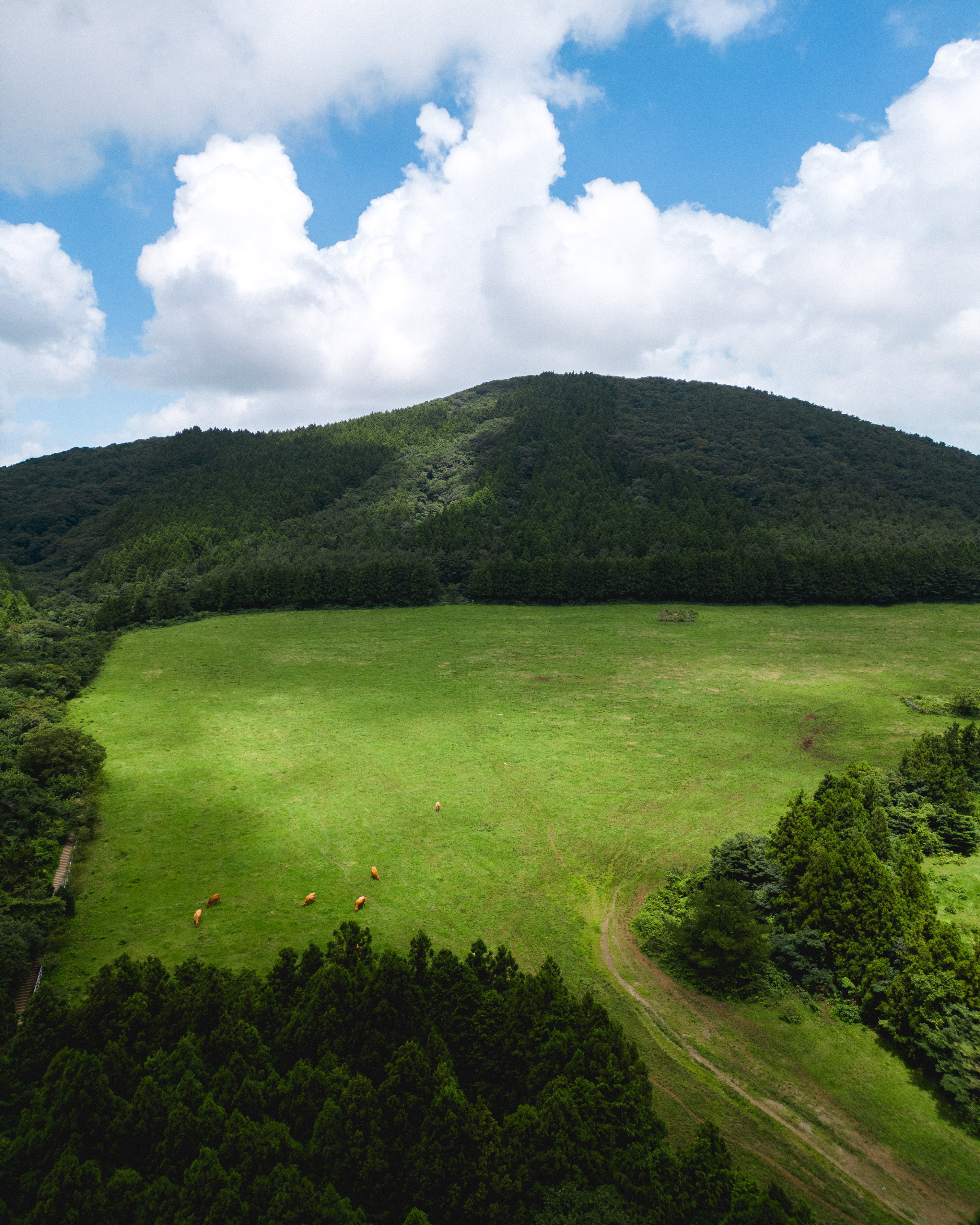 물영아리오름 4