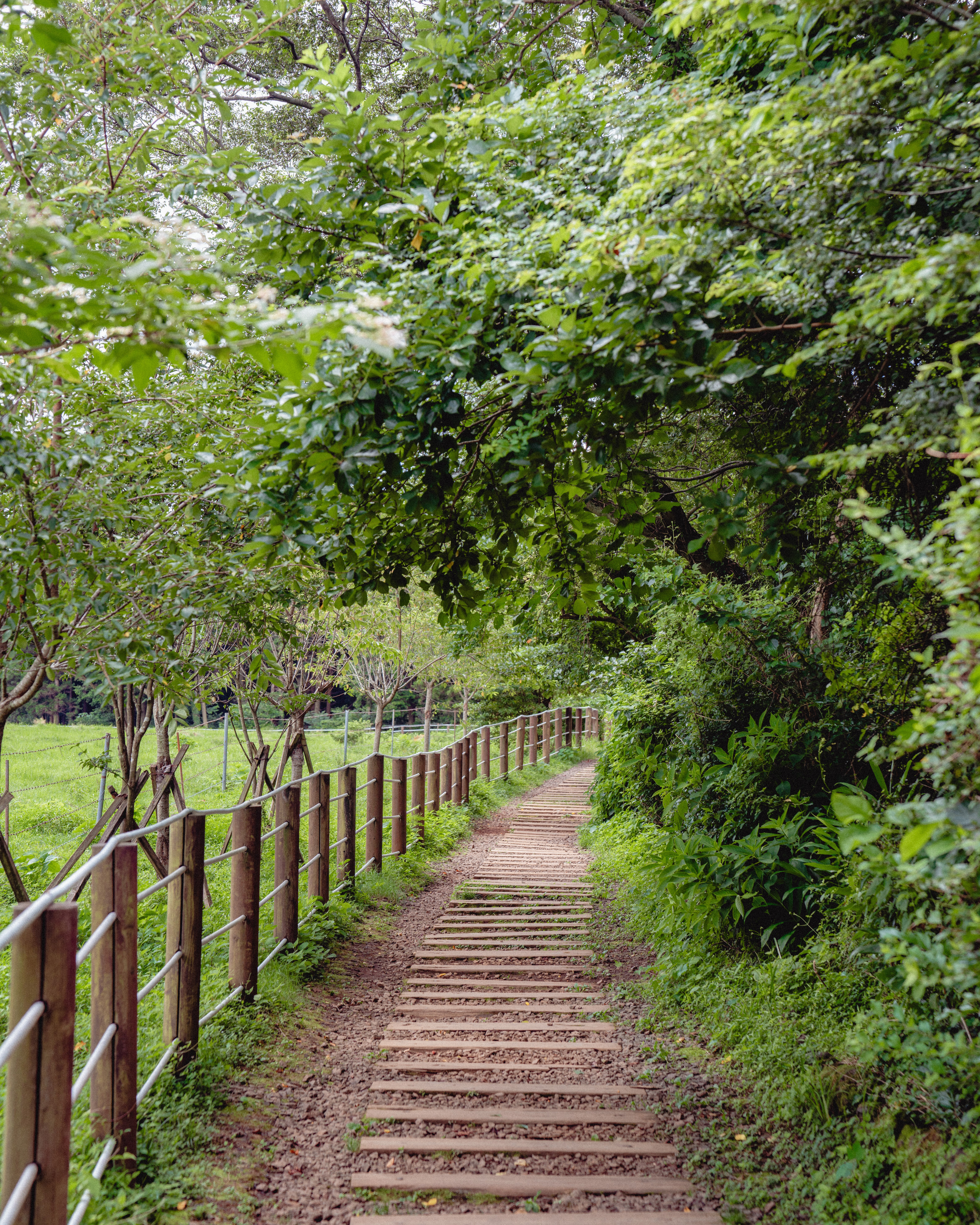 물영아리오름 6