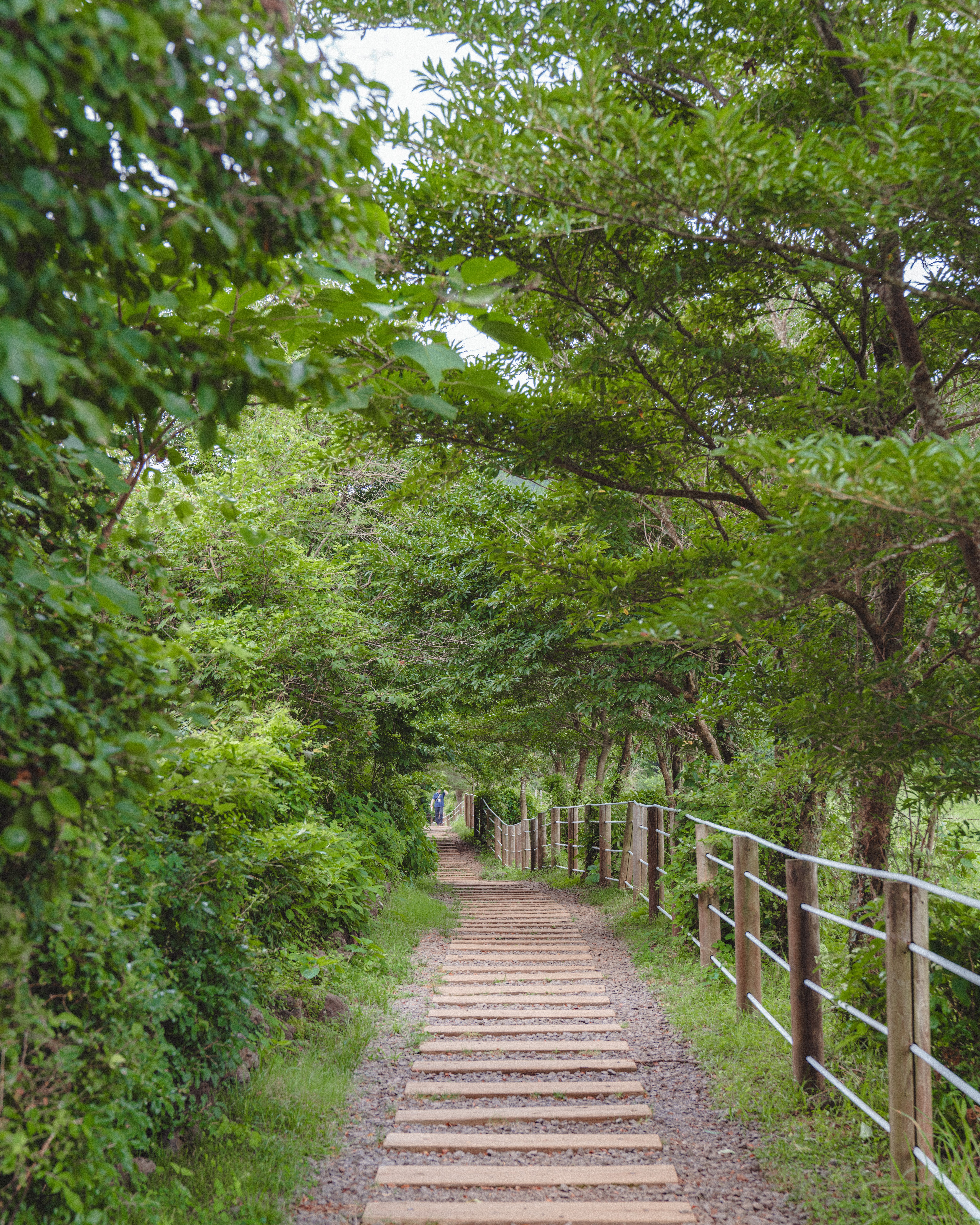 물영아리오름 8