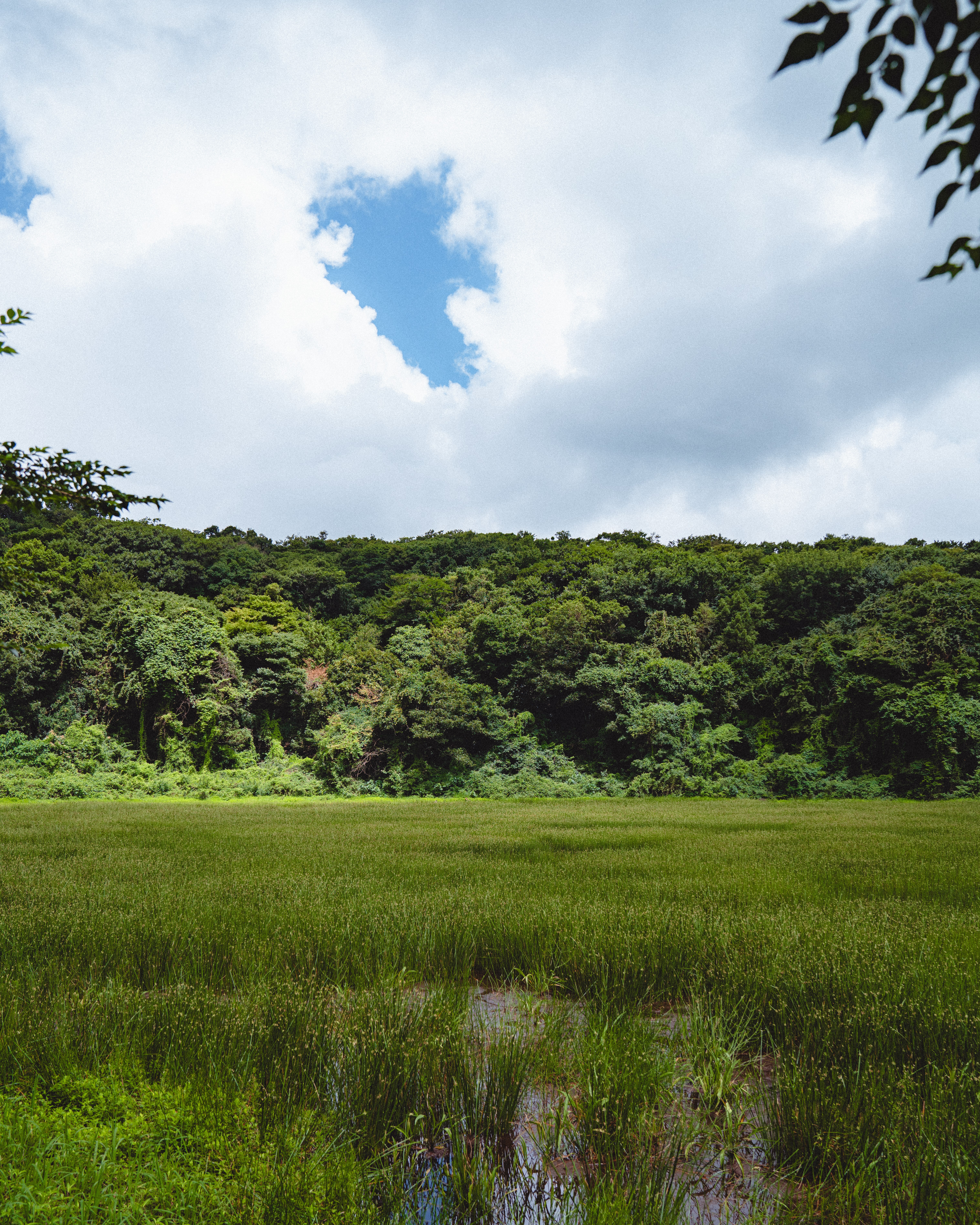 물영아리오름 11