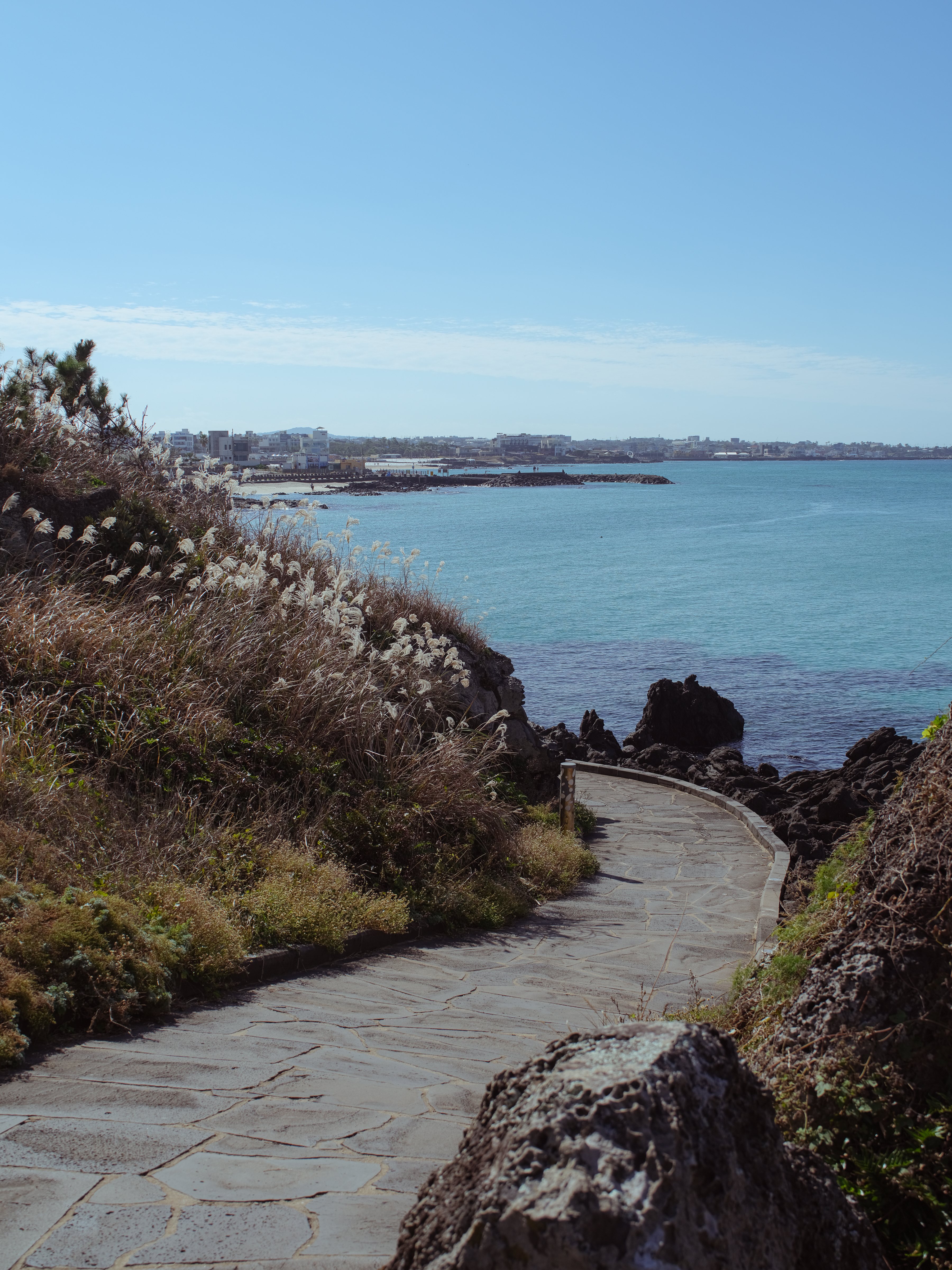 제주한담해안산책로1