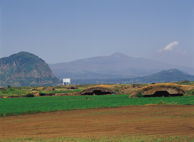 일본군비행기격납고