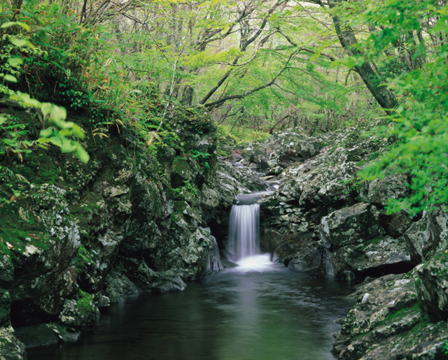 한라산계곡2